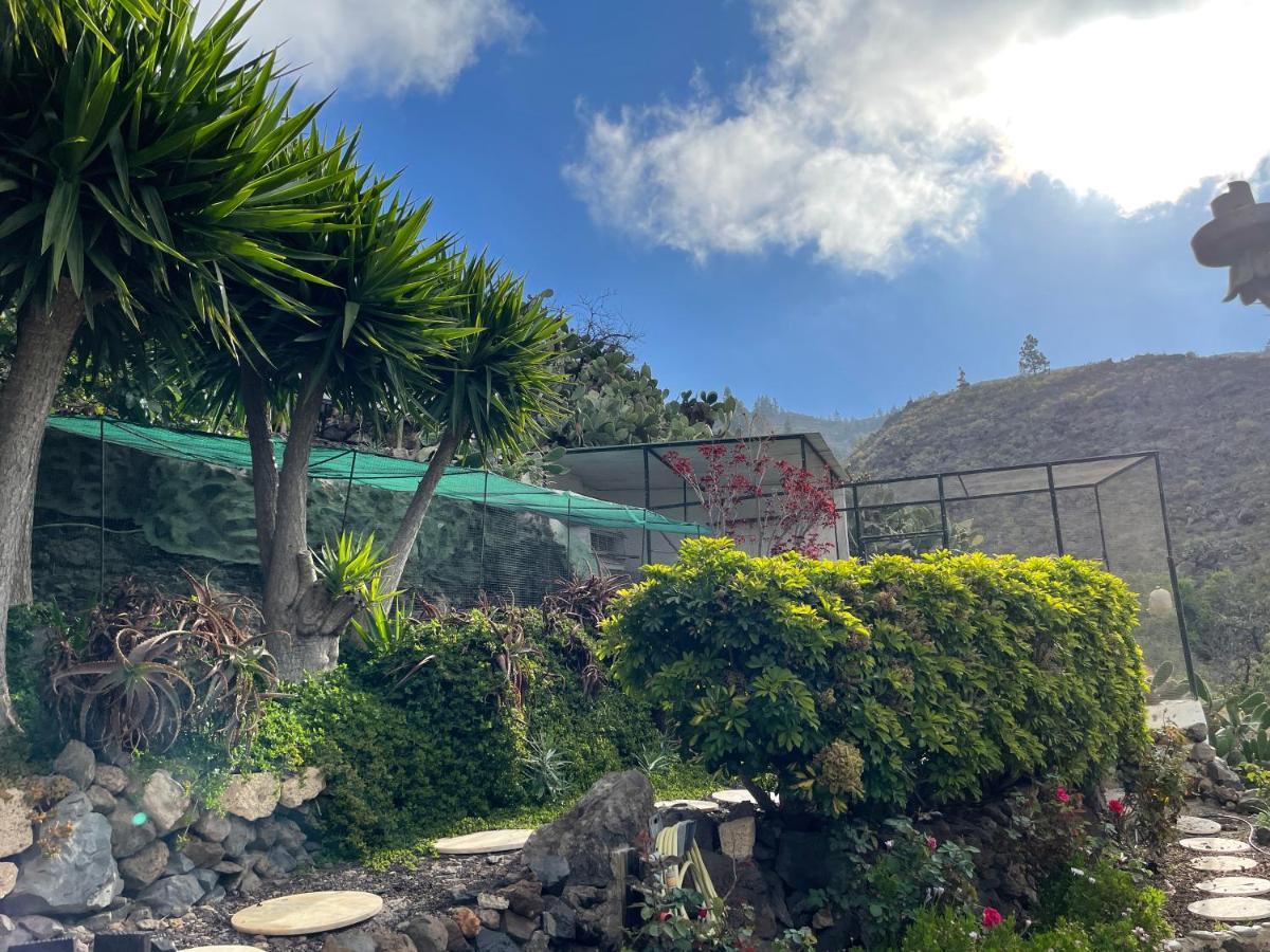 Casa Niagara Villa El Jaral Exterior photo